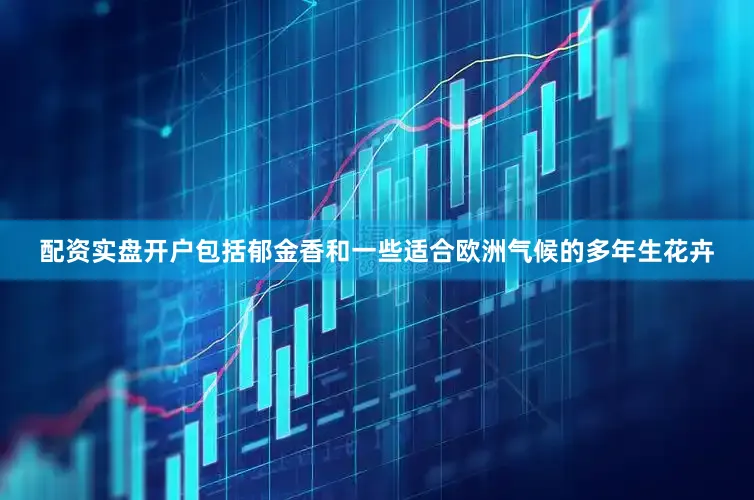配资实盘开户包括郁金香和一些适合欧洲气候的多年生花卉