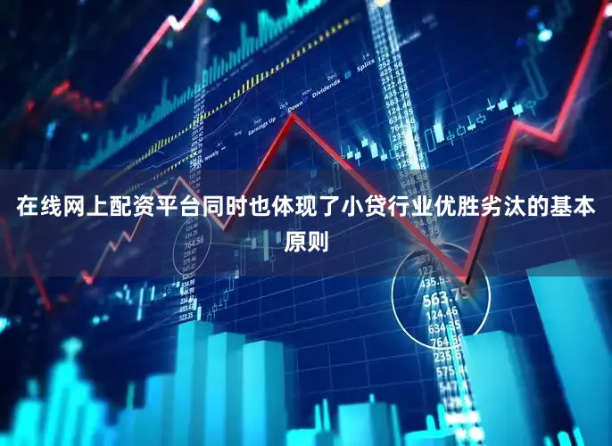 在线网上配资平台同时也体现了小贷行业优胜劣汰的基本原则
