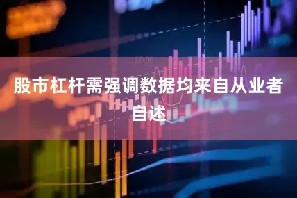 股市杠杆需强调数据均来自从业者自述