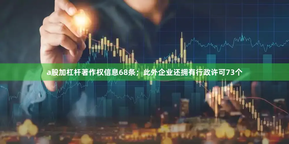a股加杠杆著作权信息68条；此外企业还拥有行政许可73个
