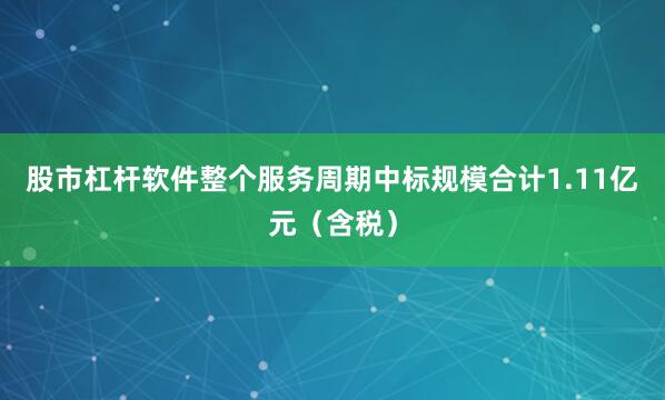 股市杠杆软件整个服务周期中标规模合计1.11亿元（含税）