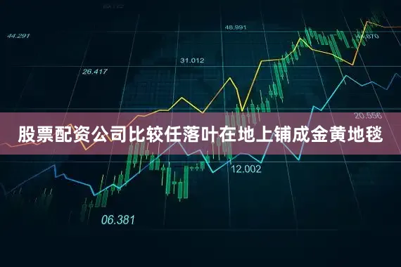股票配资公司比较任落叶在地上铺成金黄地毯
